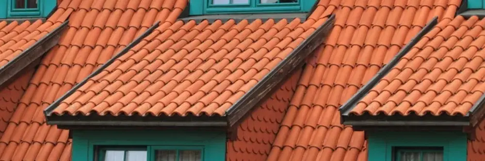 Ile zarabia dekarz w Polsce? Zaskakujące różnice w wynagrodzeniach