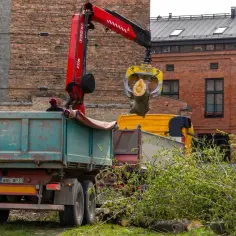 Dźwig z chwytakiem ładuje pień drzewa na wywrotkę. Zastanawiasz się, ile kosztuje wycięcie drzewa na prywatnej posesji?