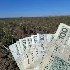 Zastanawiasz się, ile kosztuje przyłącze prądu? Na polu leżą banknoty 100 zł, symbolizujące inwestycję w energię.