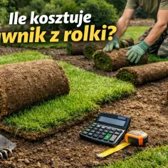 Rolki trawy z rolki cena za m2. Kalkulator i miarka obok gotowych do ułożenia darni.