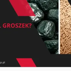 Pellet czy węgiel groszek? Sprawdź opinie o piecach na pellet i dowiedz się, co bardziej się opłaca. www.selmetsklep.pl