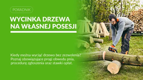 Wycinka drzewa - Kiedy bez zezwolenia, a kiedy ze zgłoszeniem?