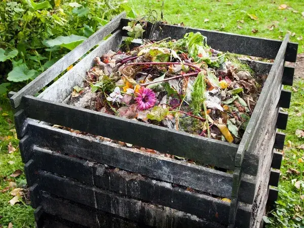 Jak wygląda kompostownik? Poznaj jego różne kształty i materiały